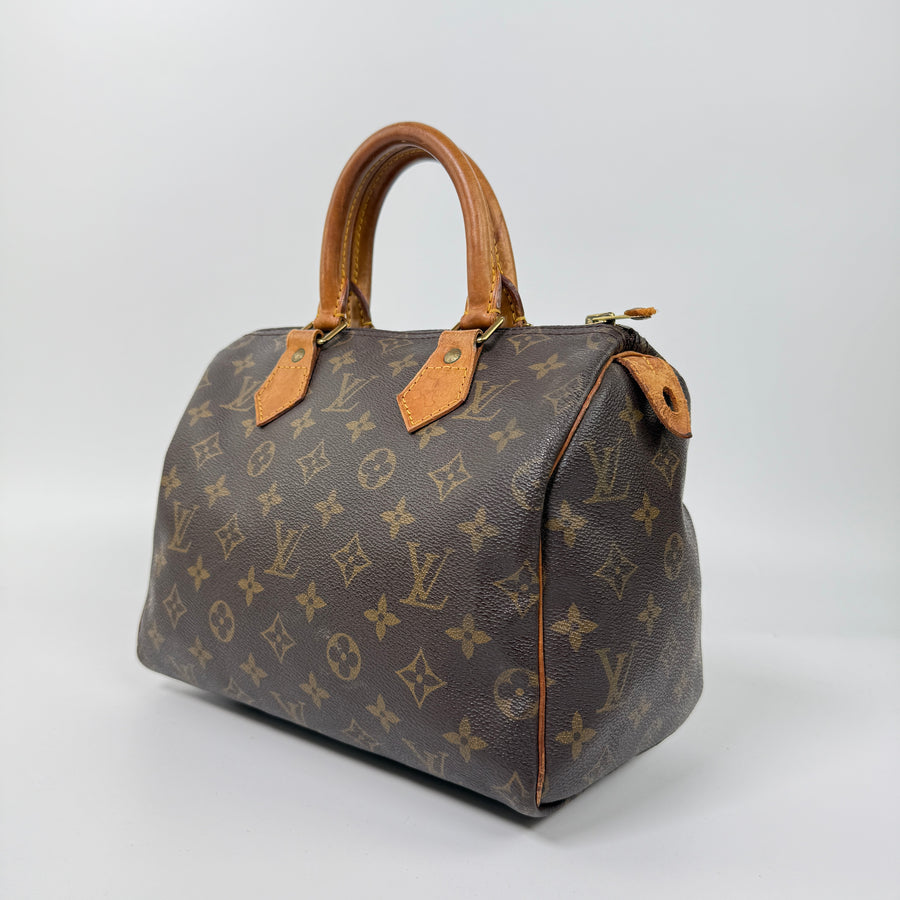 Louis Vuitton Speedy (25)