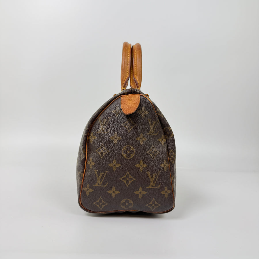 Louis Vuitton Speedy (25)