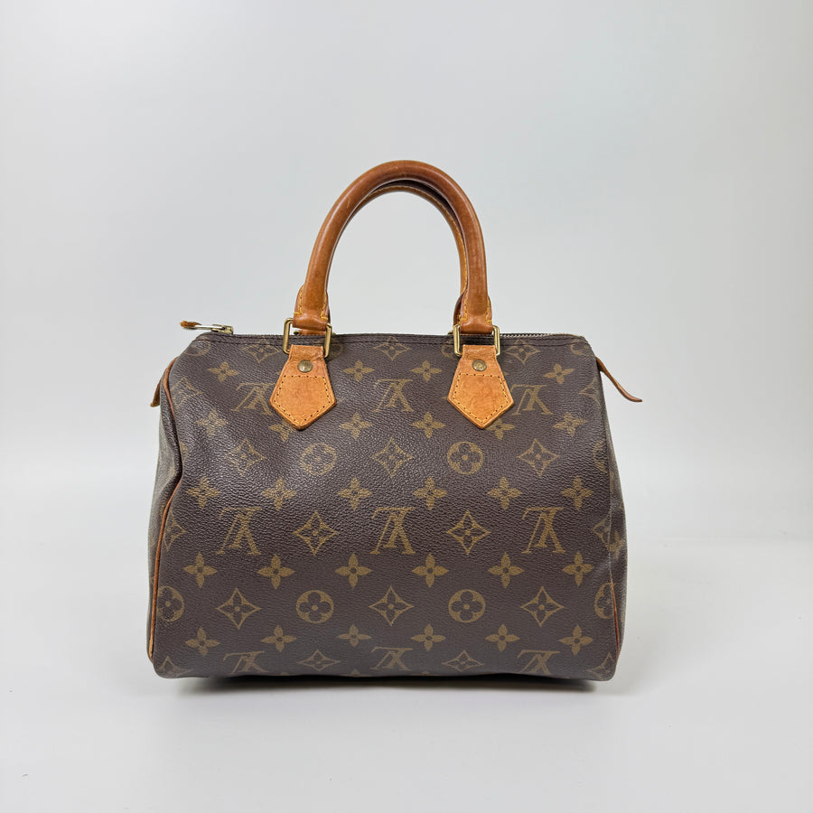 Louis Vuitton Speedy (25)