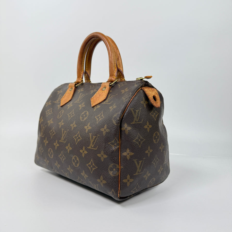 Louis Vuitton Speedy (25)