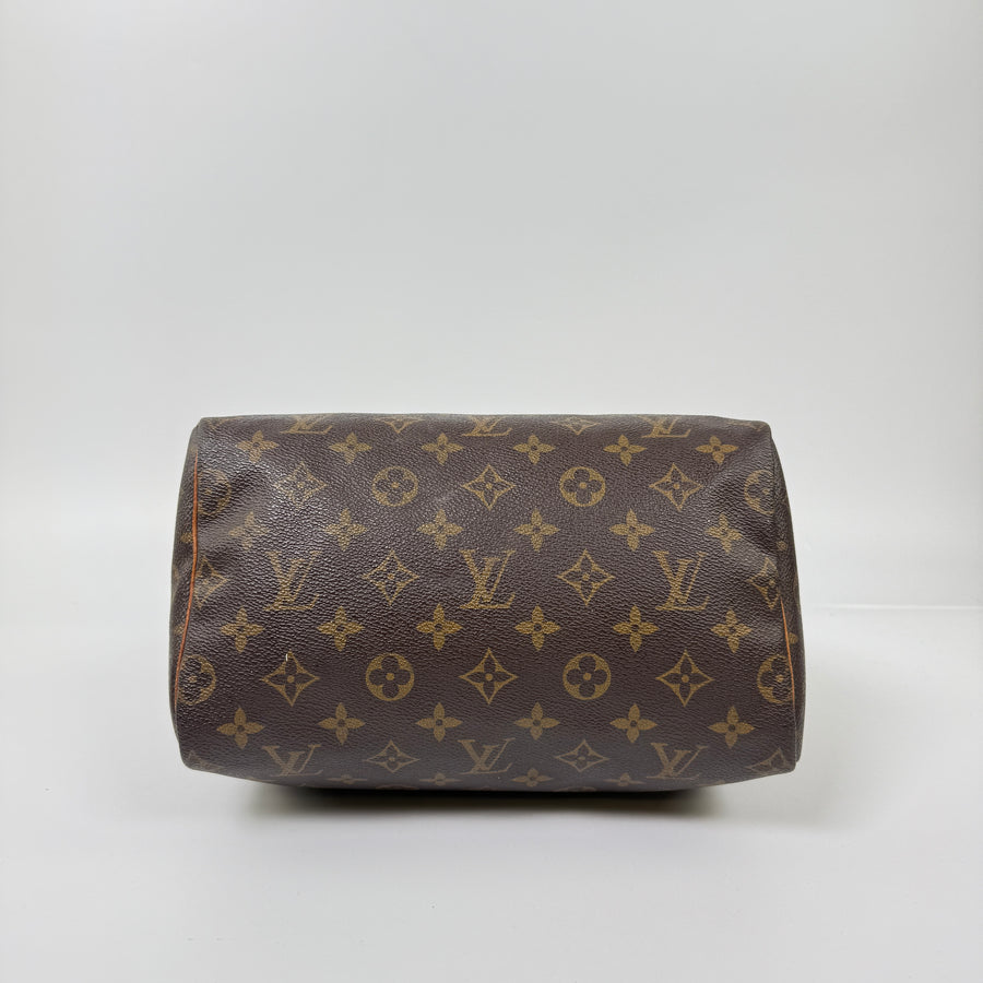 Louis Vuitton Speedy (25)