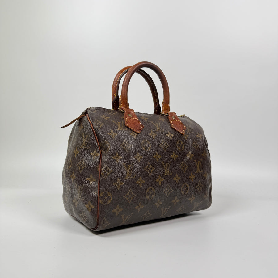 Louis Vuitton Speedy (25)