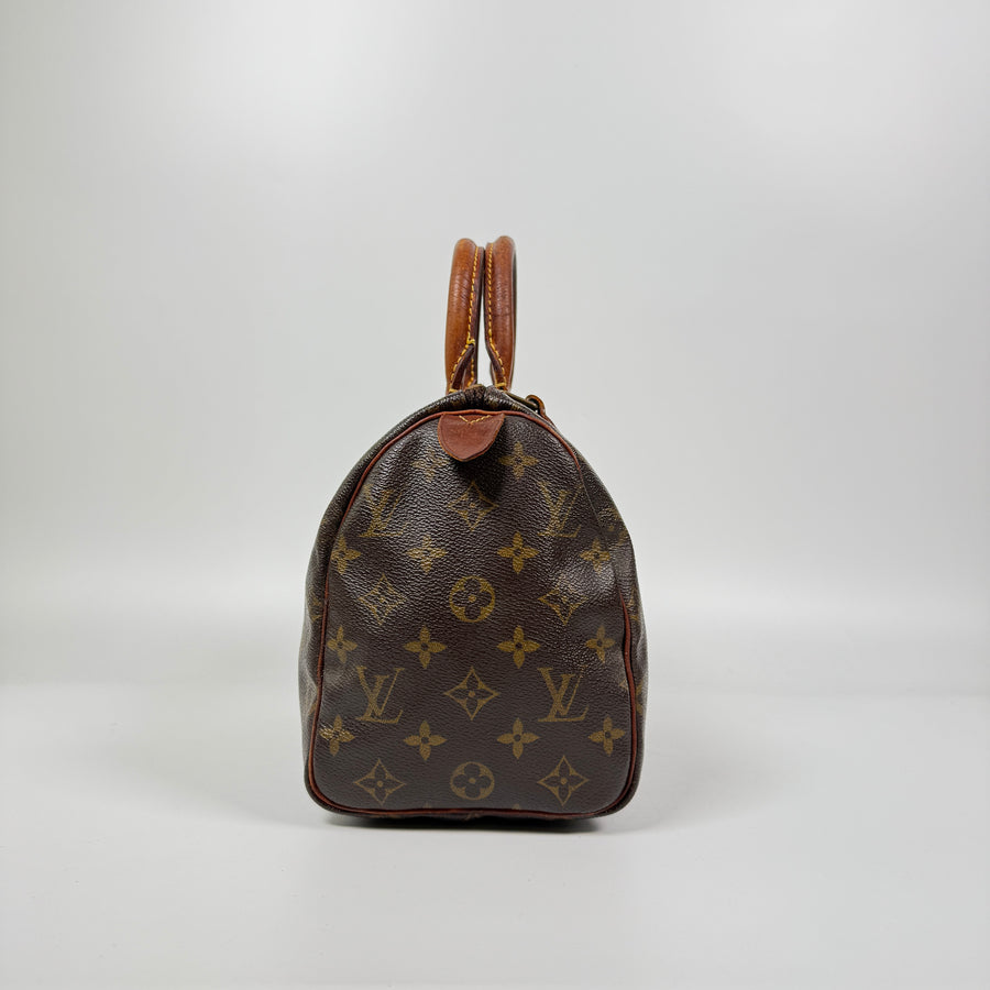 Louis Vuitton Speedy (25)