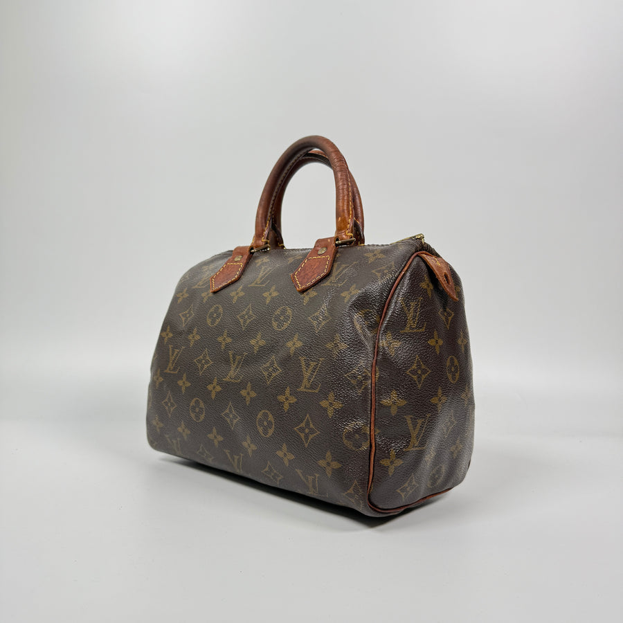 Louis Vuitton Speedy (25)