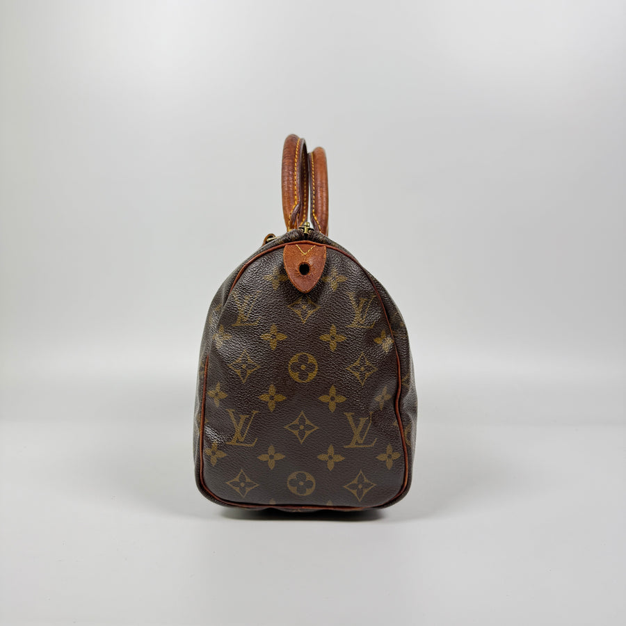 Louis Vuitton Speedy (25)