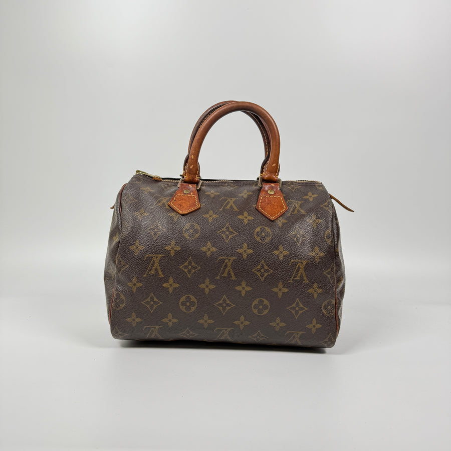 Louis Vuitton Speedy (25)