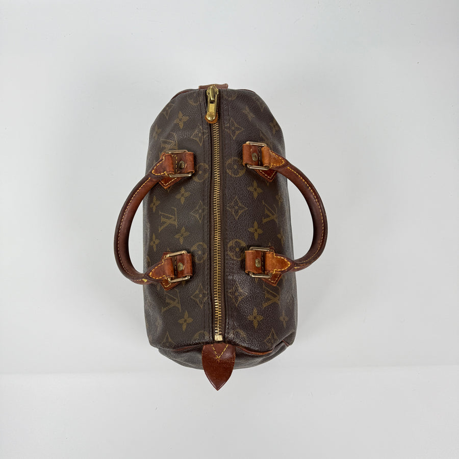 Louis Vuitton Speedy (25)