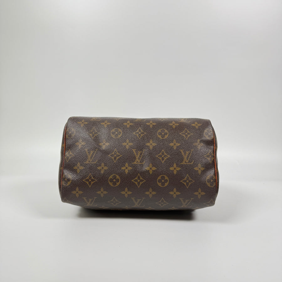 Louis Vuitton Speedy (25)