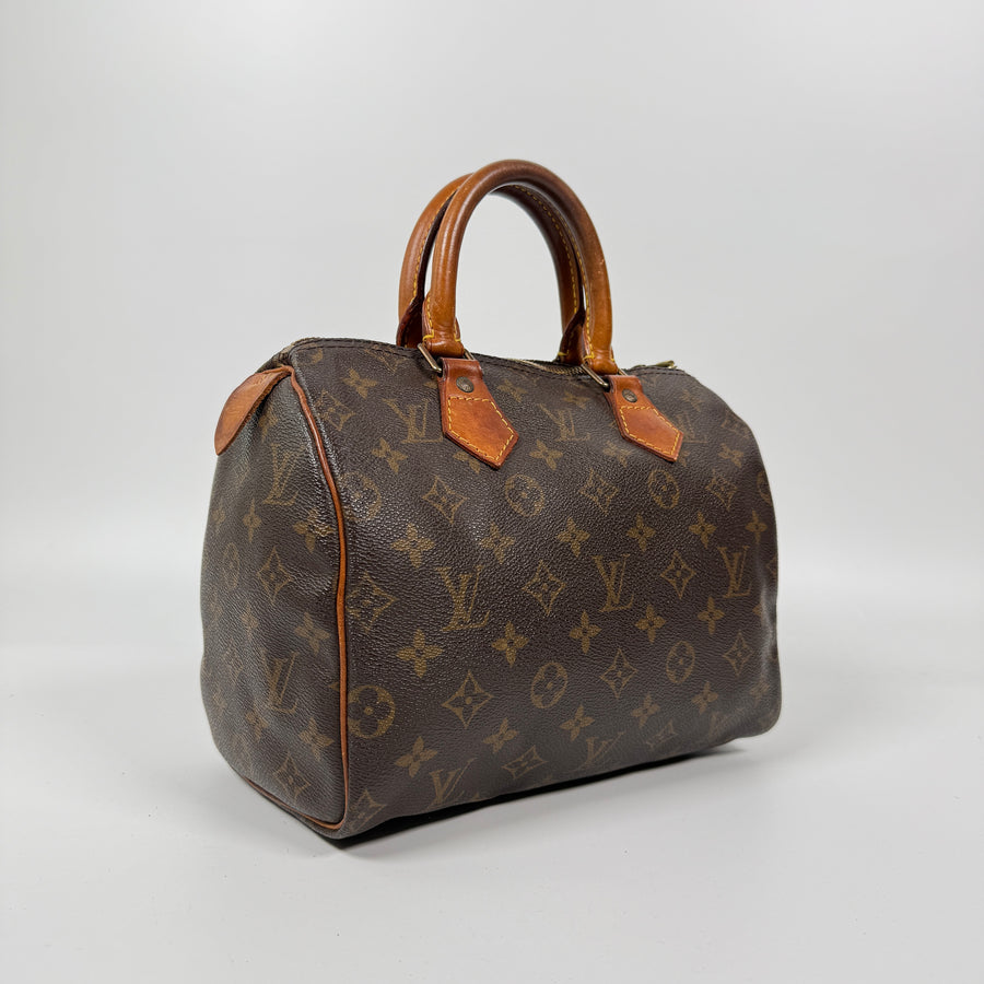 Louis Vuitton Speedy (25)