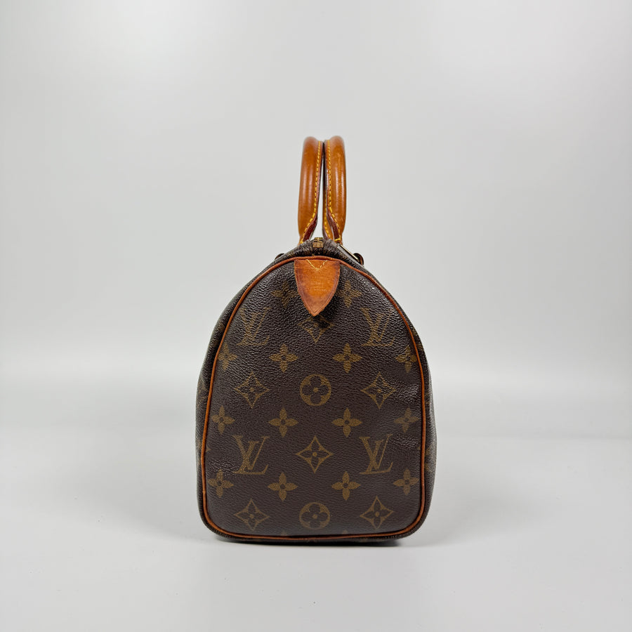 Louis Vuitton Speedy (25)