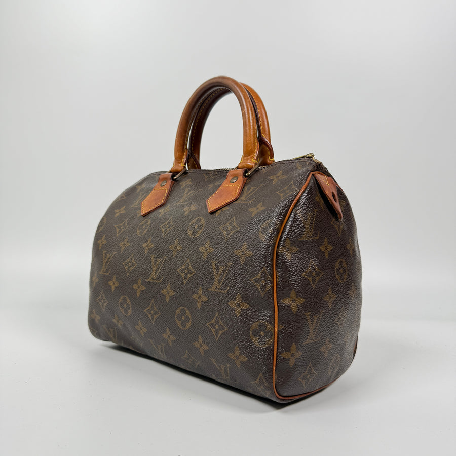 Louis Vuitton Speedy (25)