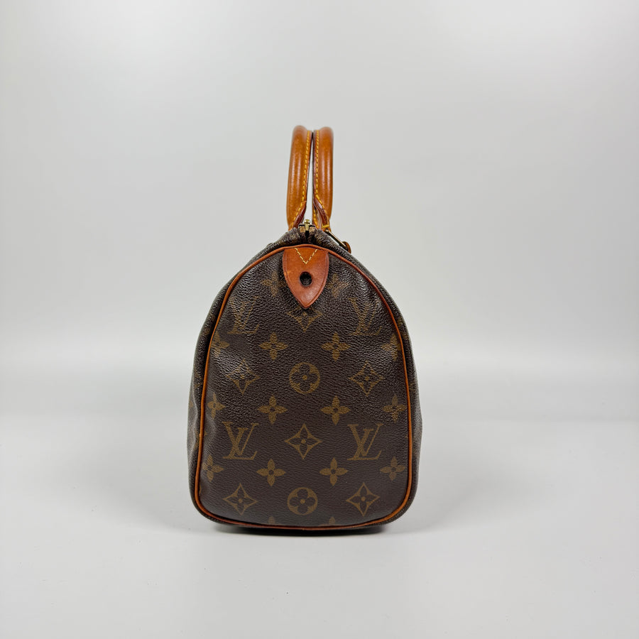 Louis Vuitton Speedy (25)