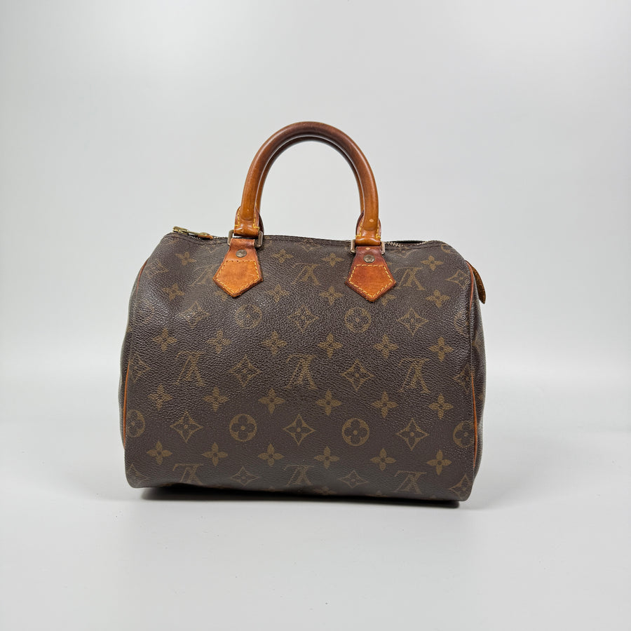 Louis Vuitton Speedy (25)