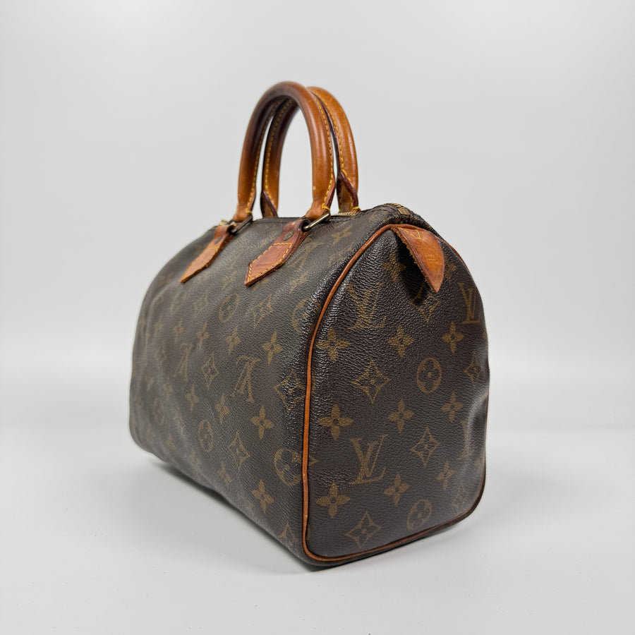 Louis Vuitton Speedy (25)