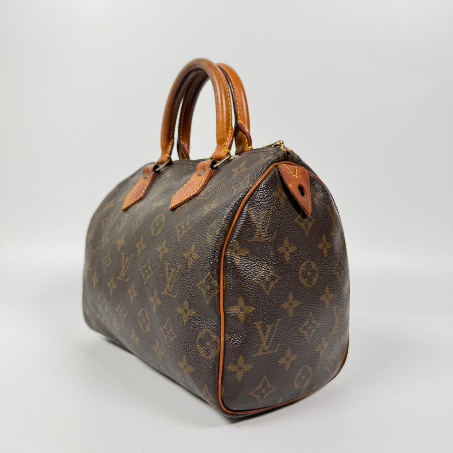 Louis Vuitton Speedy (25)