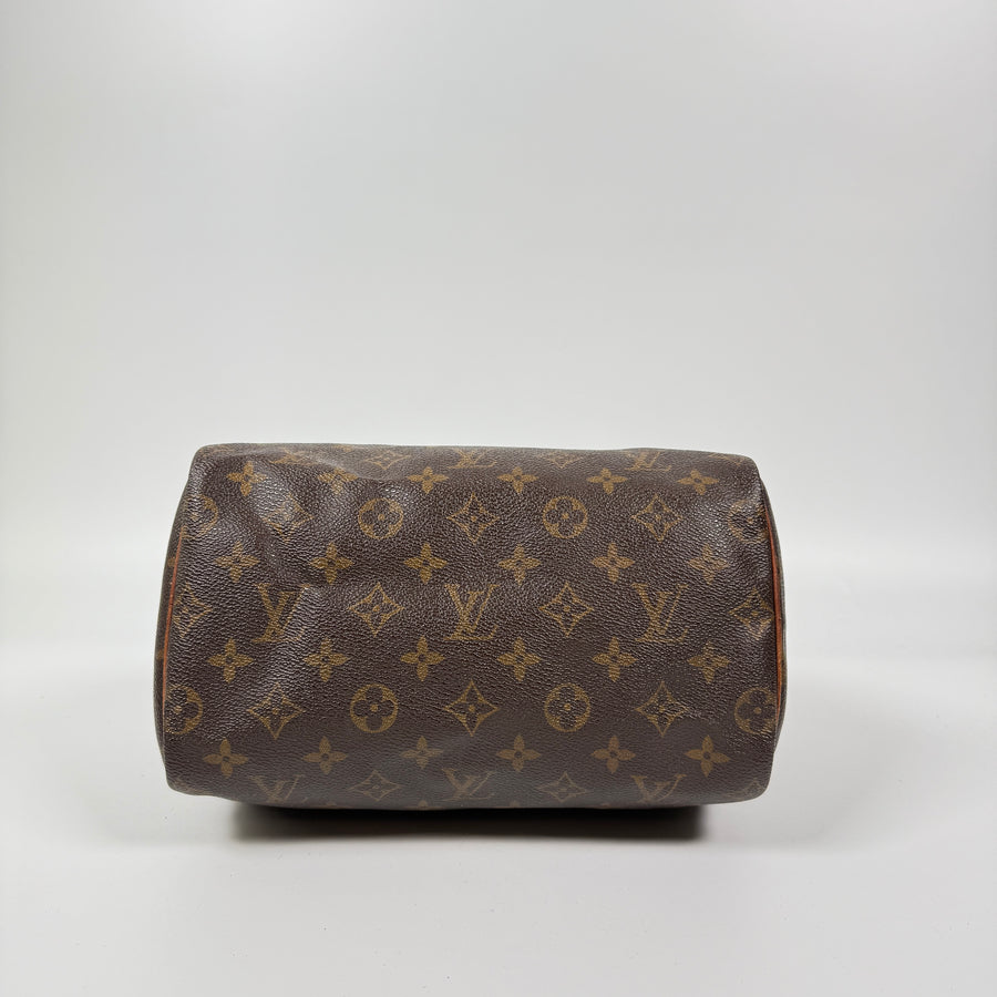 Louis Vuitton Speedy (25)