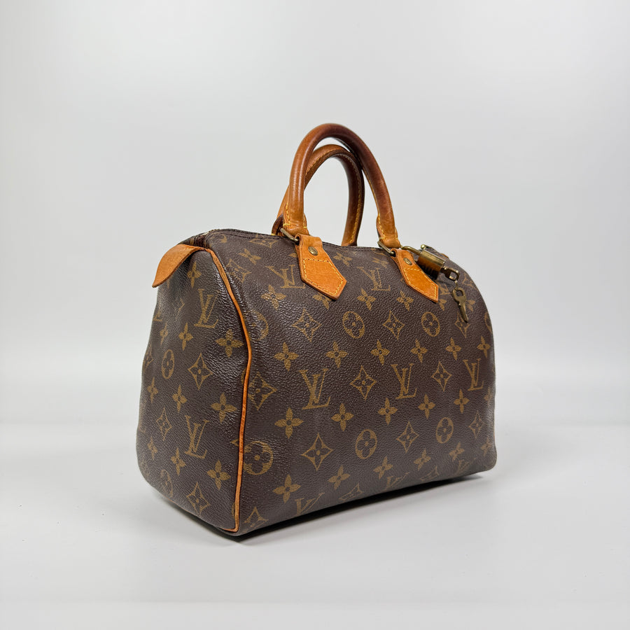 Louis Vuitton Speedy (25)