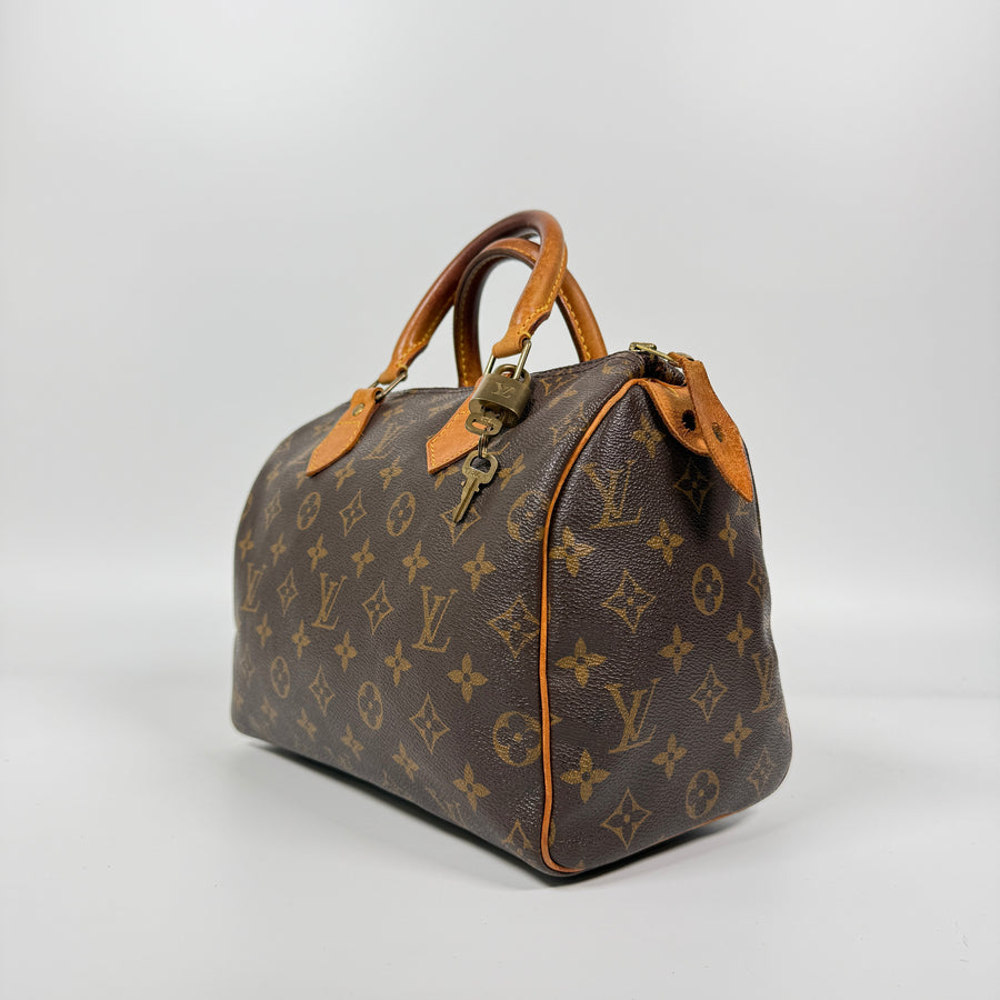 Louis Vuitton Speedy (25)