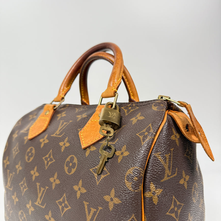 Louis Vuitton Speedy (25)