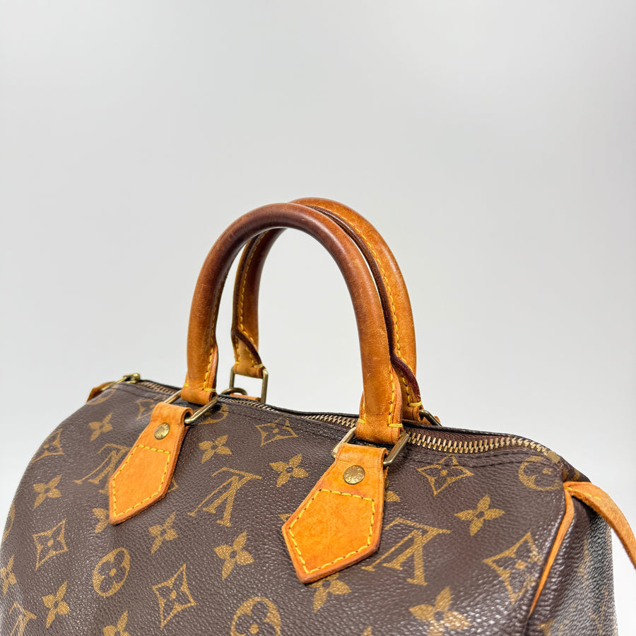 Louis Vuitton Speedy (25)