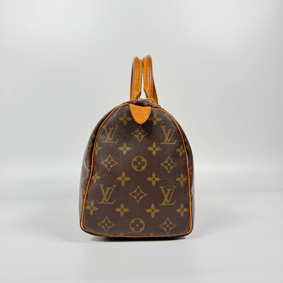 Louis Vuitton Speedy (25)