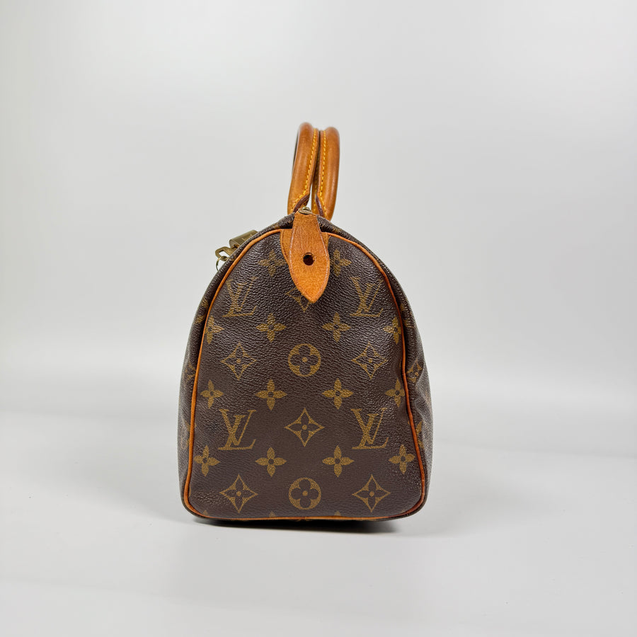 Louis Vuitton Speedy (25)