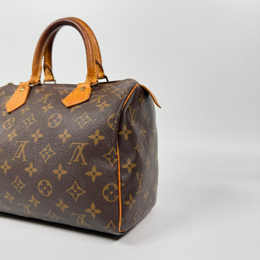 Louis Vuitton Speedy (25)