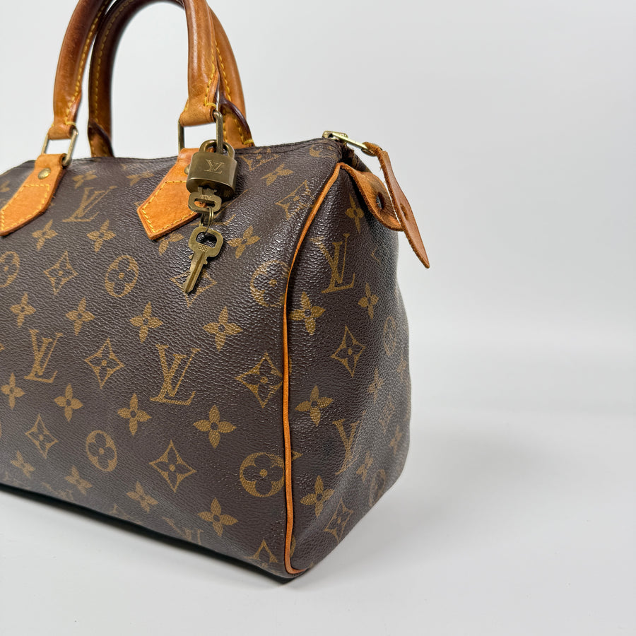Louis Vuitton Speedy (25)