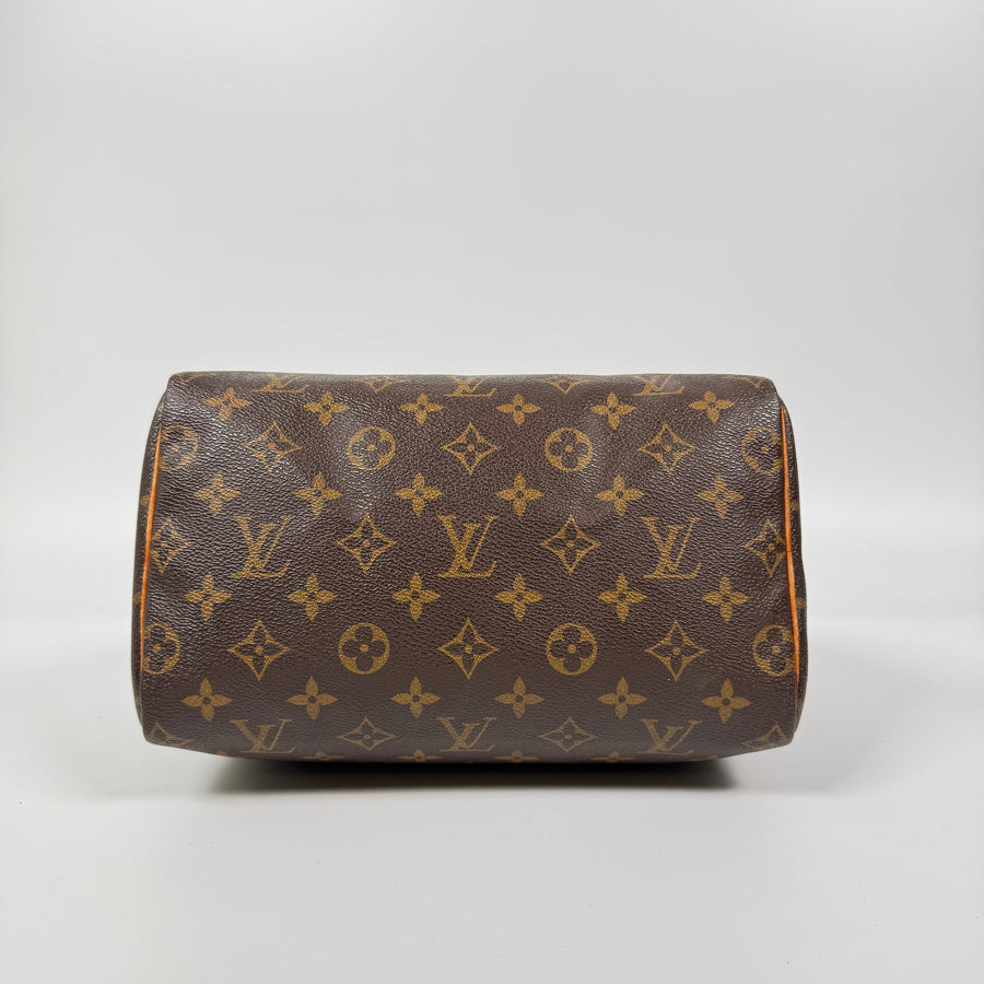 Louis Vuitton Speedy (25)
