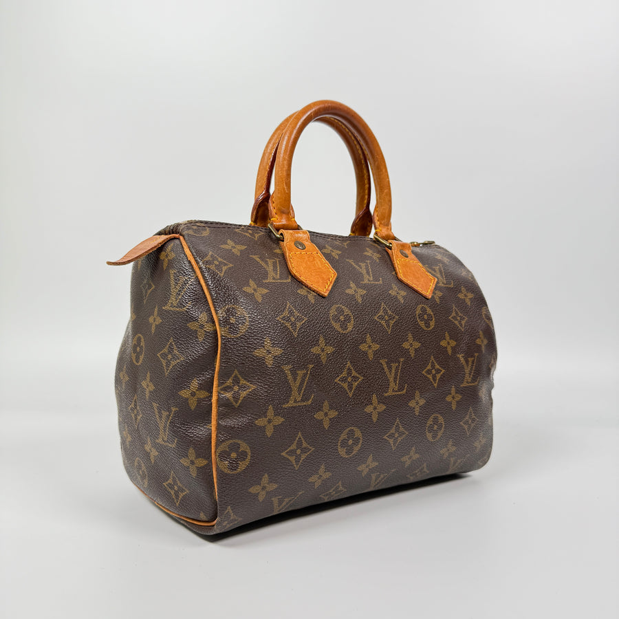 Louis Vuitton Speedy (25)