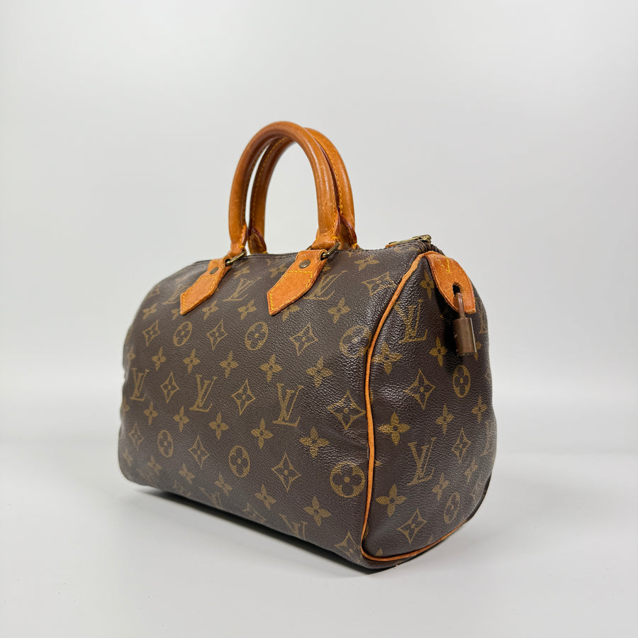 Louis Vuitton Speedy (25)