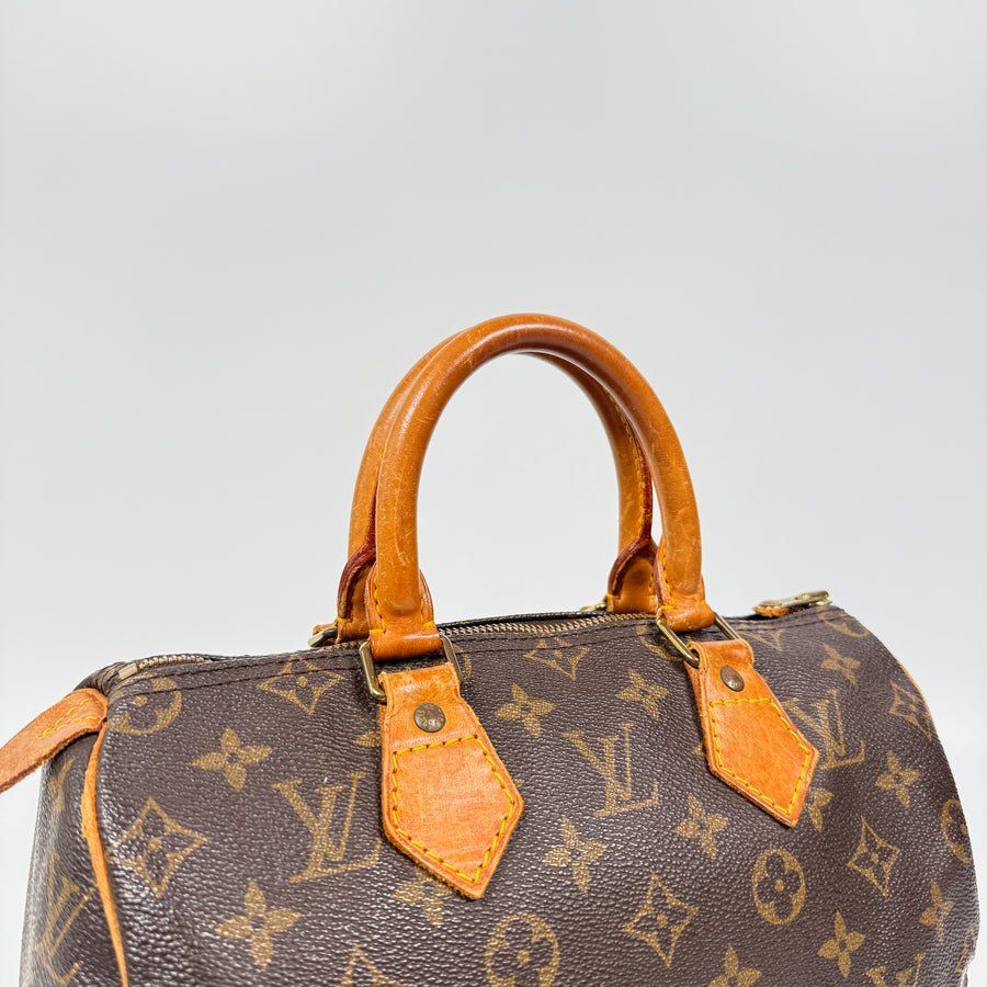 Louis Vuitton Speedy (25)