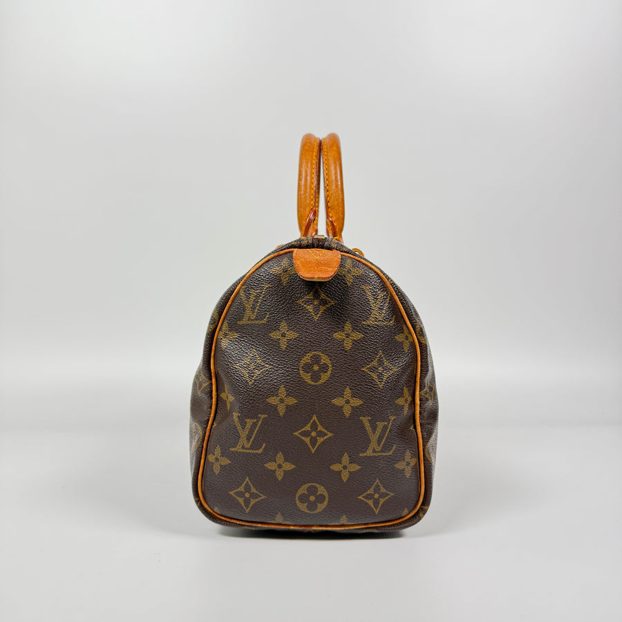 Louis Vuitton Speedy (25)