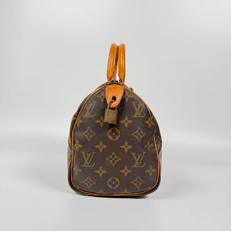 Louis Vuitton Speedy (25)