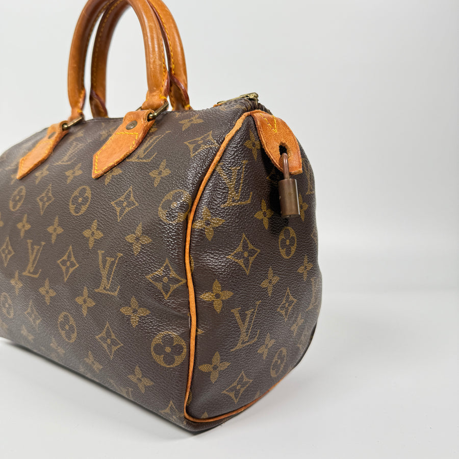 Louis Vuitton Speedy (25)