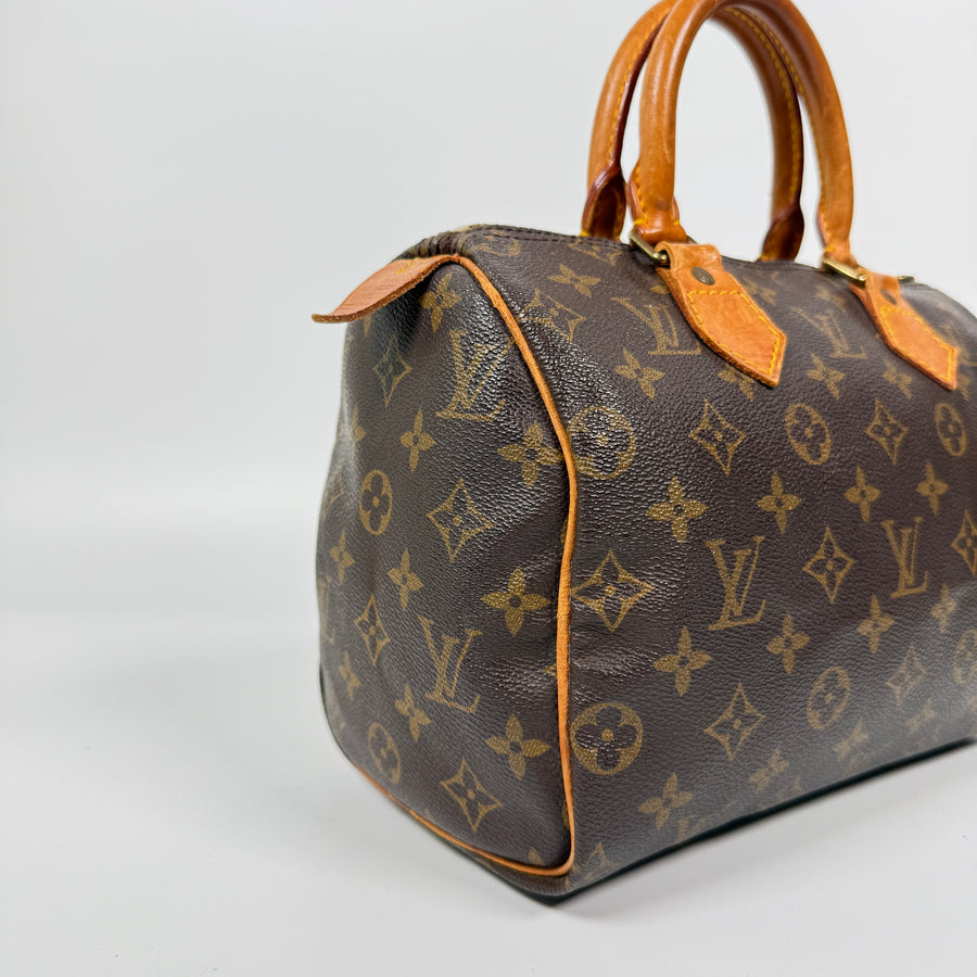 Louis Vuitton Speedy (25)
