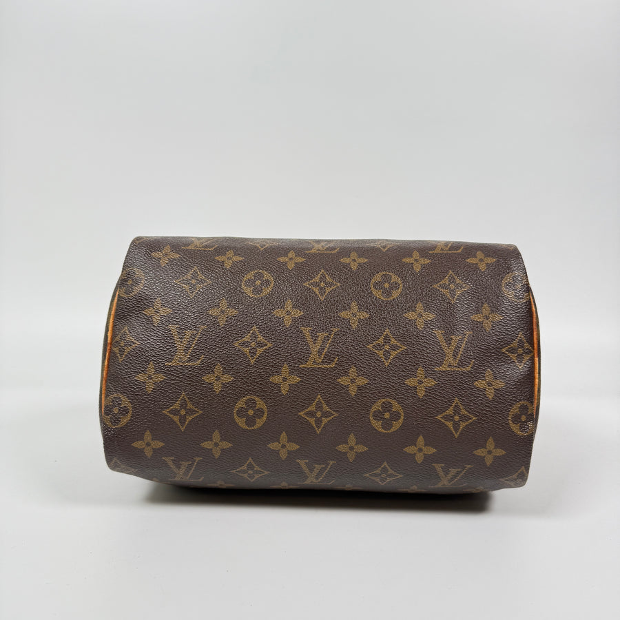 Louis Vuitton Speedy (25)