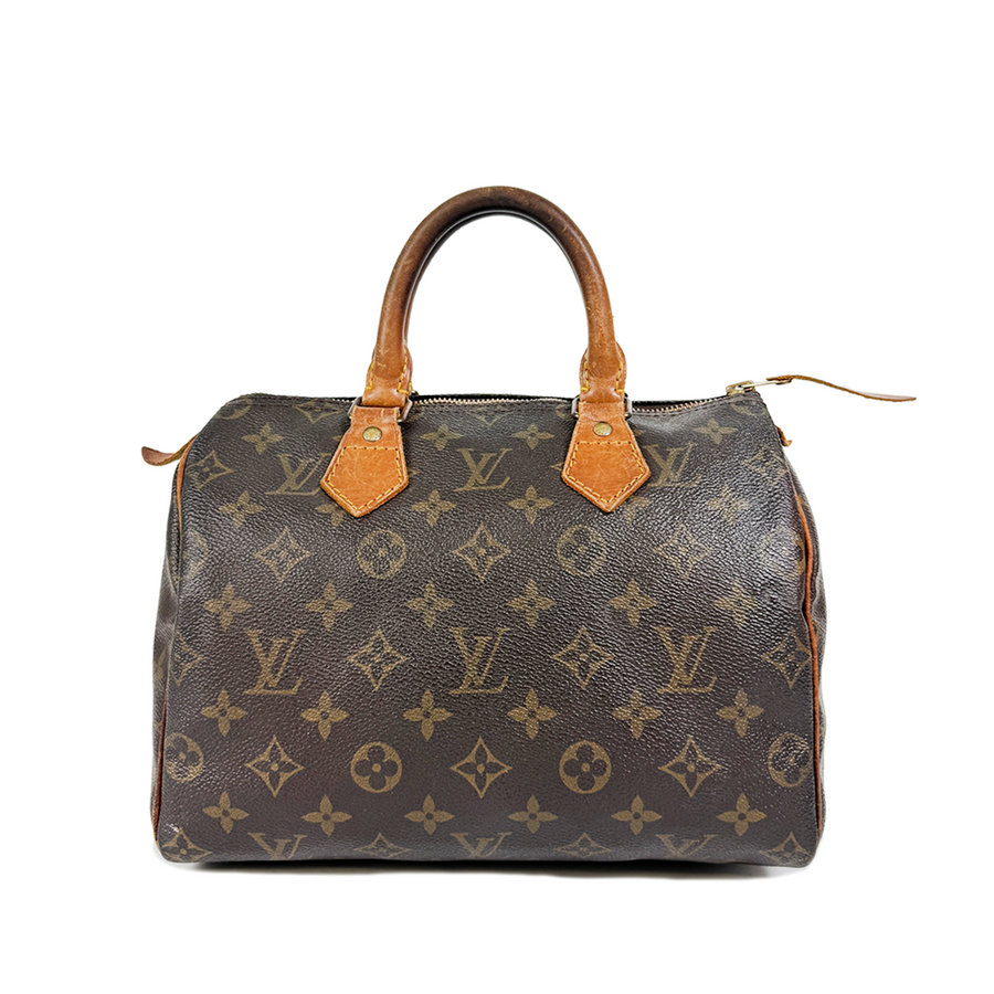 Louis Vuitton Speedy (25)