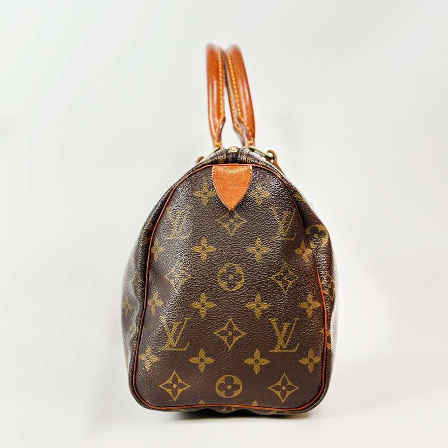 Louis Vuitton Speedy (25)