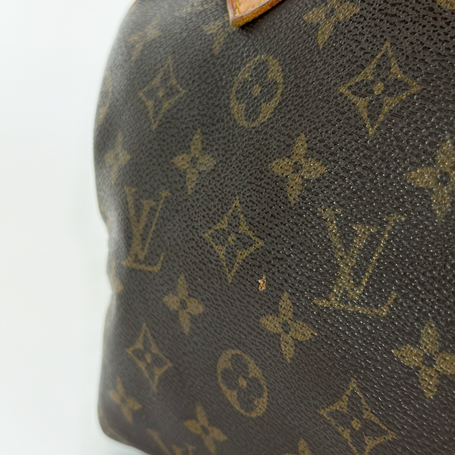 Louis Vuitton Speedy (25)