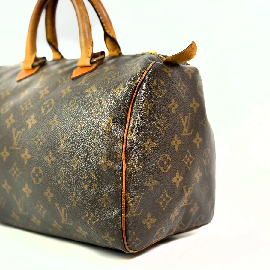 Louis Vuitton Speedy (30)