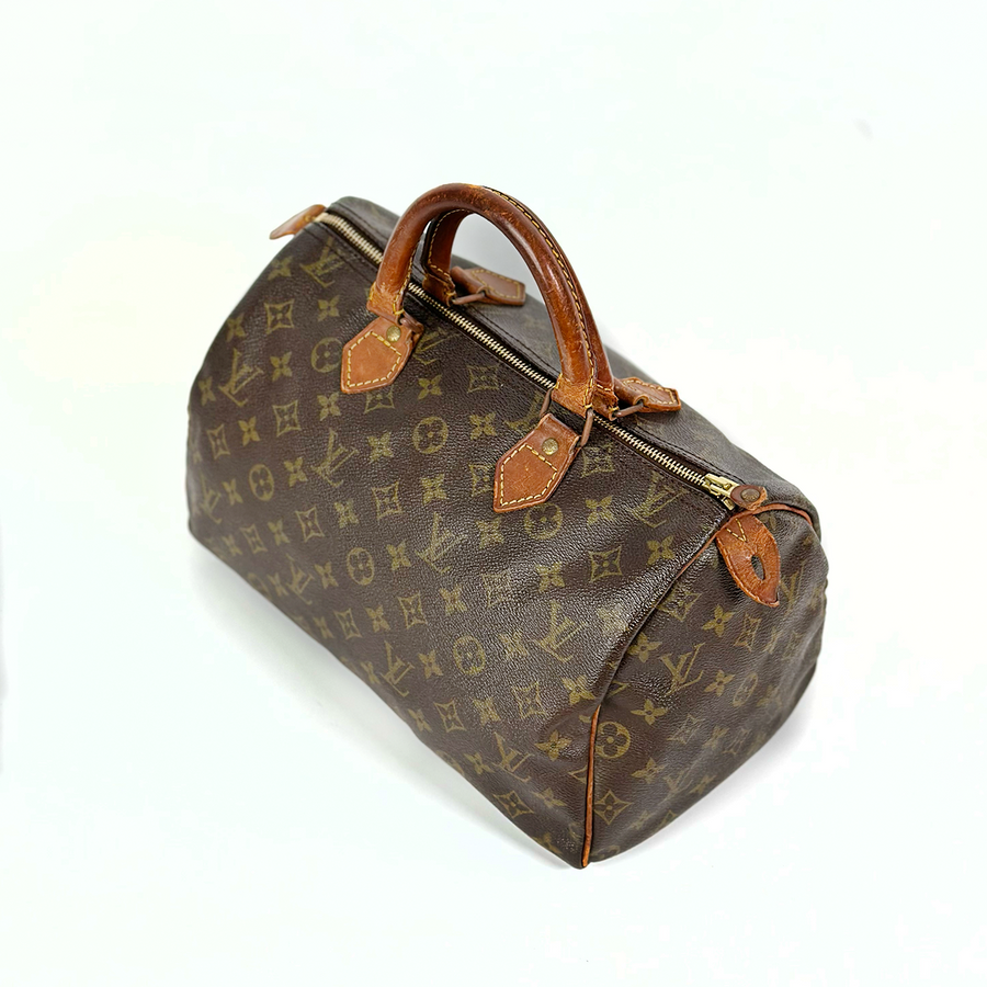 Louis Vuitton Speedy (30)