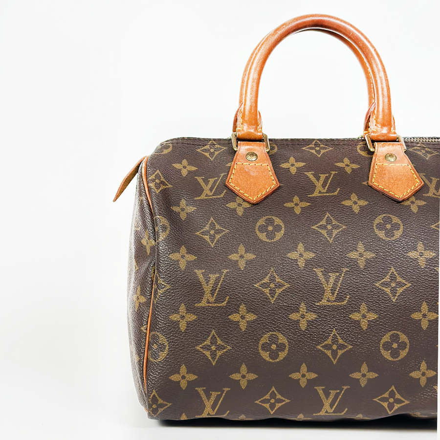 Louis Vuitton Speedy (25)