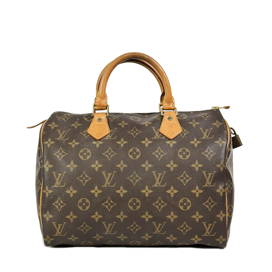 Louis Vuitton Speedy (30)