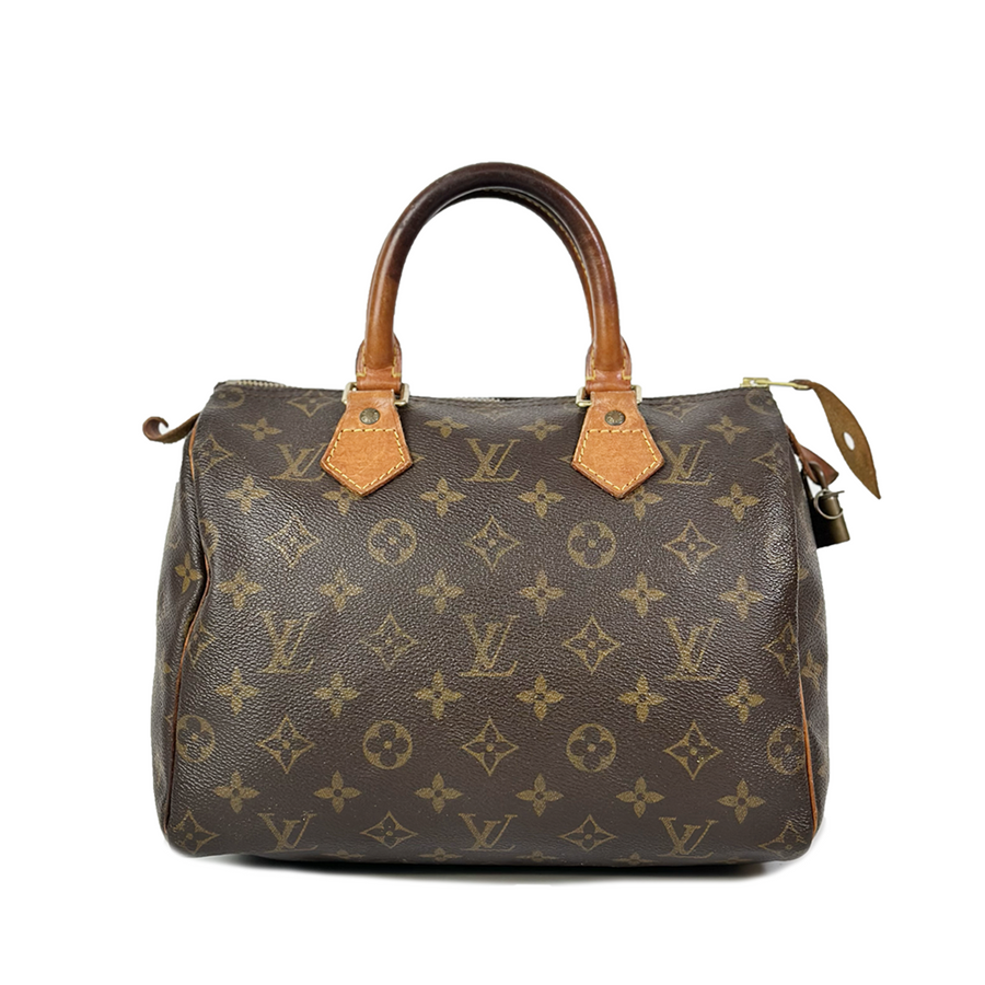 Louis Vuitton Speedy (25)