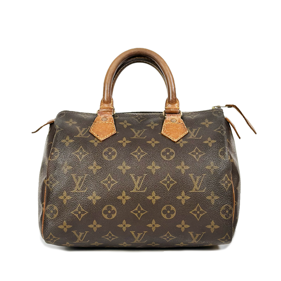 Louis Vuitton Speedy (25)