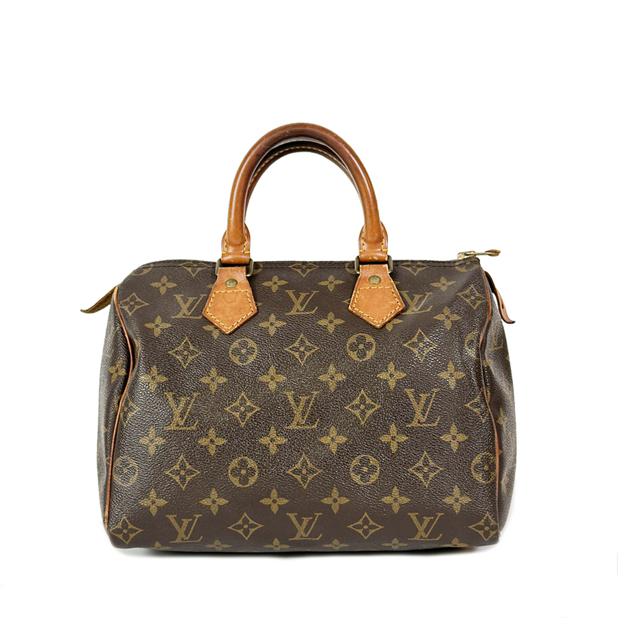 Louis Vuitton Speedy (25)