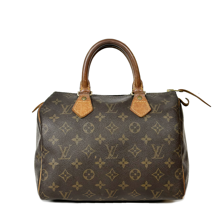 Louis Vuitton Speedy (25)