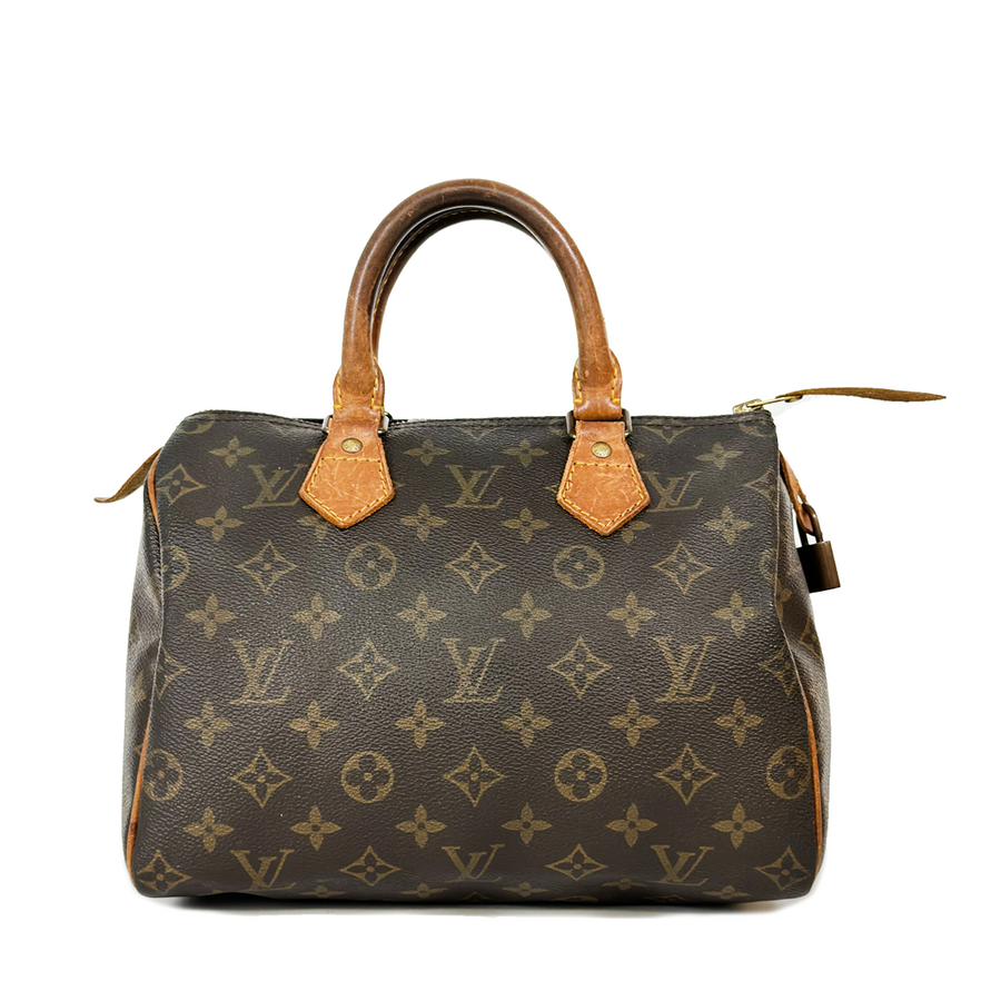 Louis Vuitton Speedy (25)