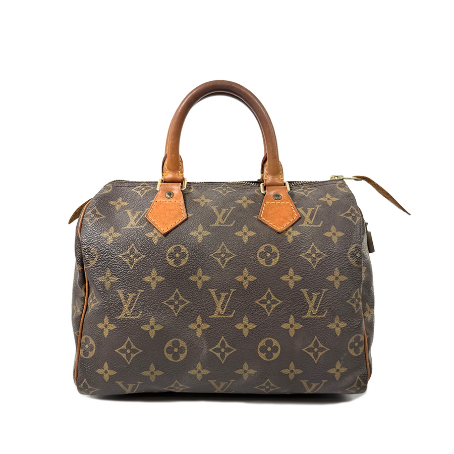 Louis Vuitton Speedy (25)